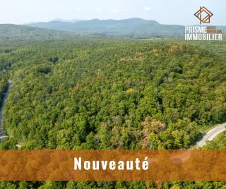 visualiser cette superbe propriété à vendre Centris #16820021 à Orford dans la région de Sherbrooke en Estrie.